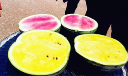 海外吃瓜爆料在线看看,揭秘娱乐圈幕后真相